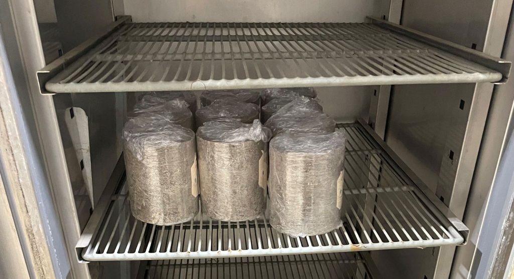 Unconfined Compressive Strength (UCS) of Compacted Material